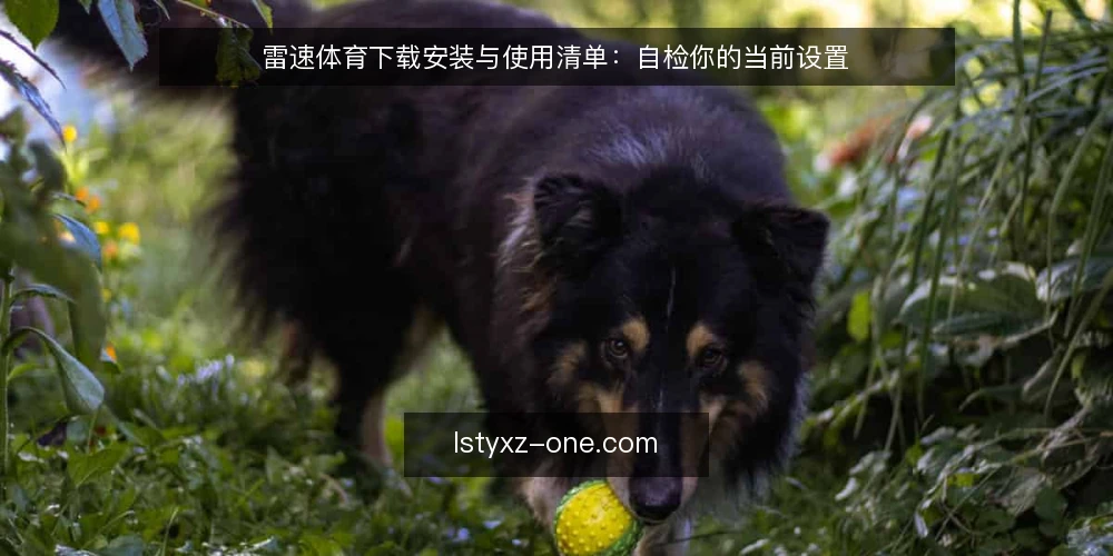 雷速体育下载安装与使用清单：自检你的当前设置 — 为何现在需要一次雷速体育下载自检 配图