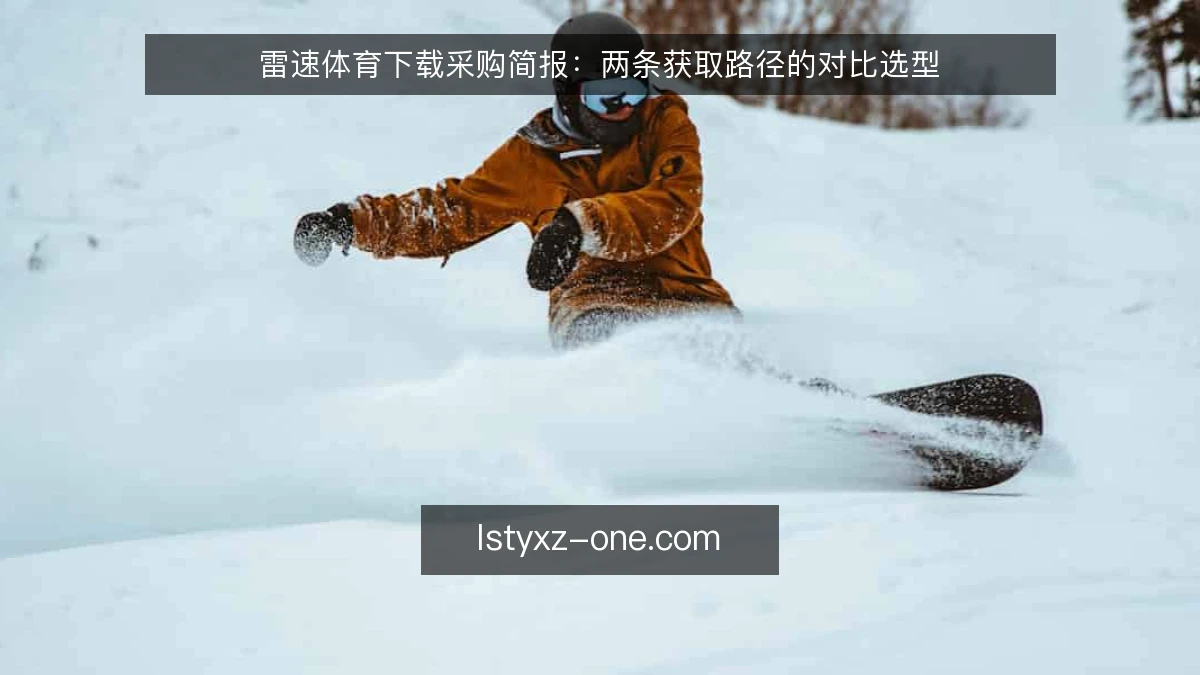 雷速体育下载采购简报:两条获取路径的对比选型